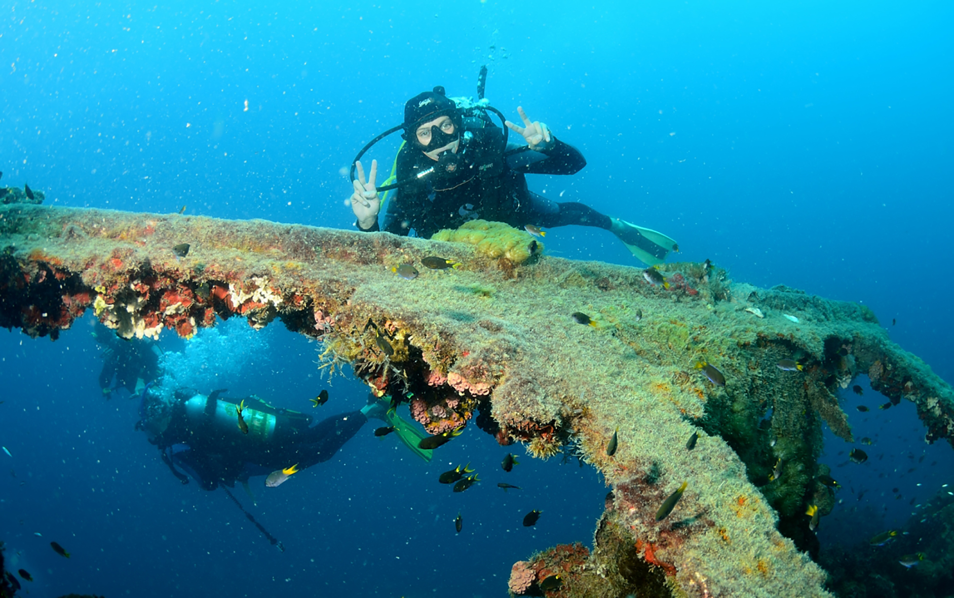 Exploring the Yongala shipwreck with Adrenalin Dive out of Townsville
