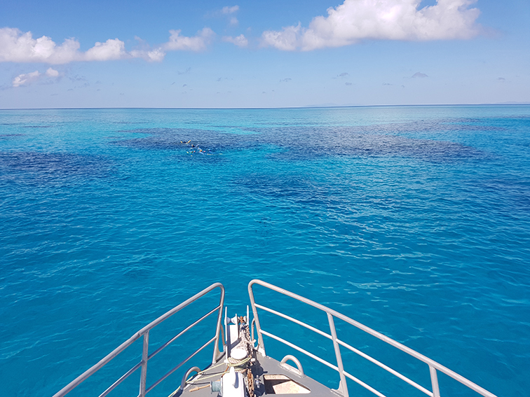 Looking out from the bow of Adrenalin Dive Vessel at the Great Barrier Reef, out of Townsville