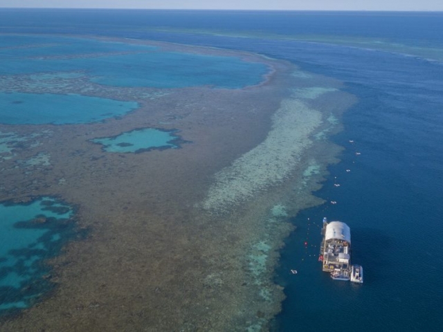 'Heart Pontoon' is our pontoon at The Great Barrier Reef, moored 39 nautical miles from mainland Australia. It provides a fun, interactive and safe way to explore the underwater world of Hardy Reef.